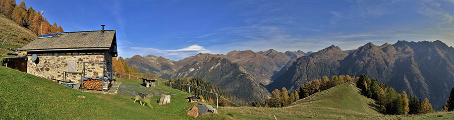 Alla Baita Quedro (1800 m) sul sent. 117 spettacolo delle cime orobiche e dei larici colorati d'autunno